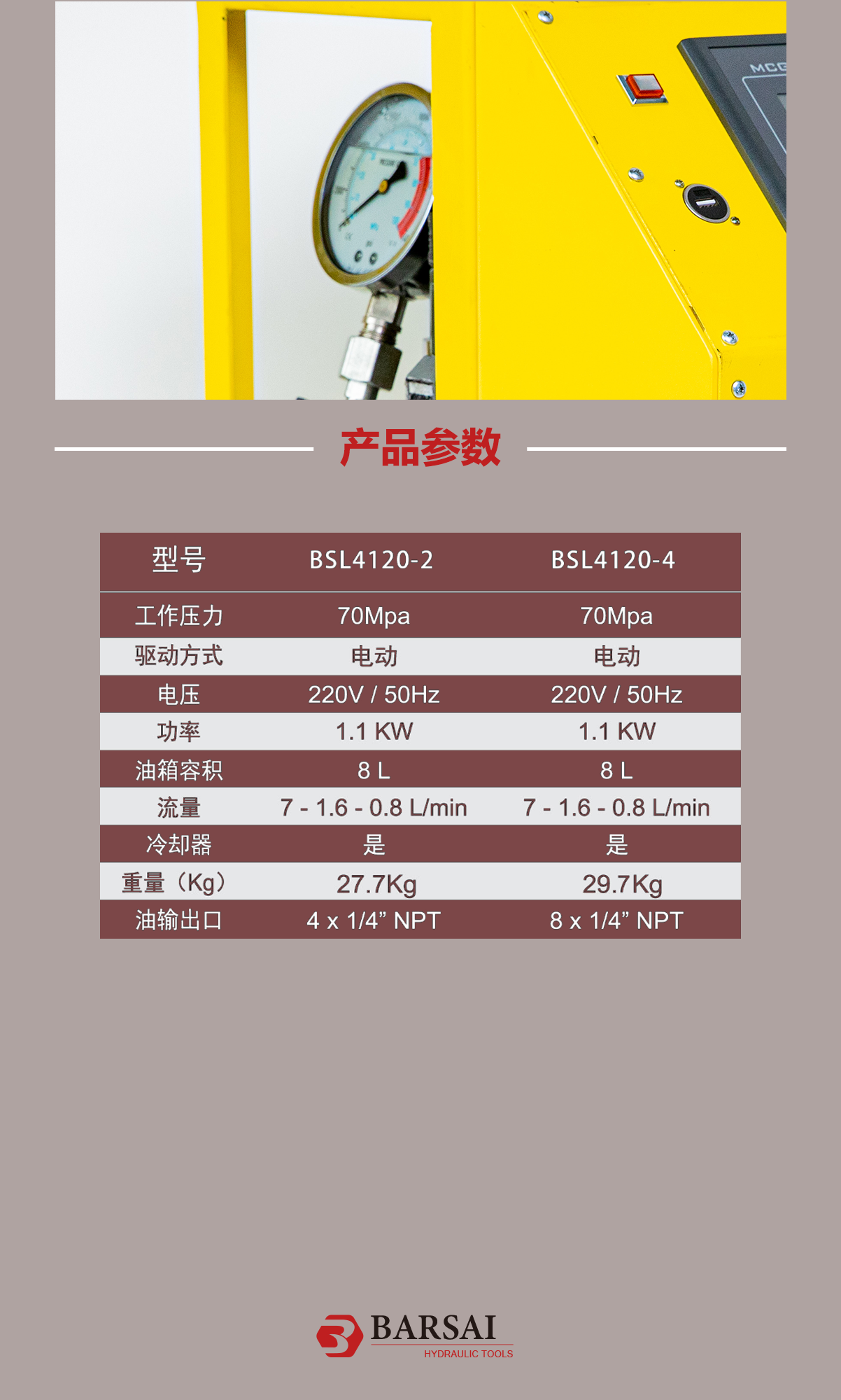 BSL41203.png