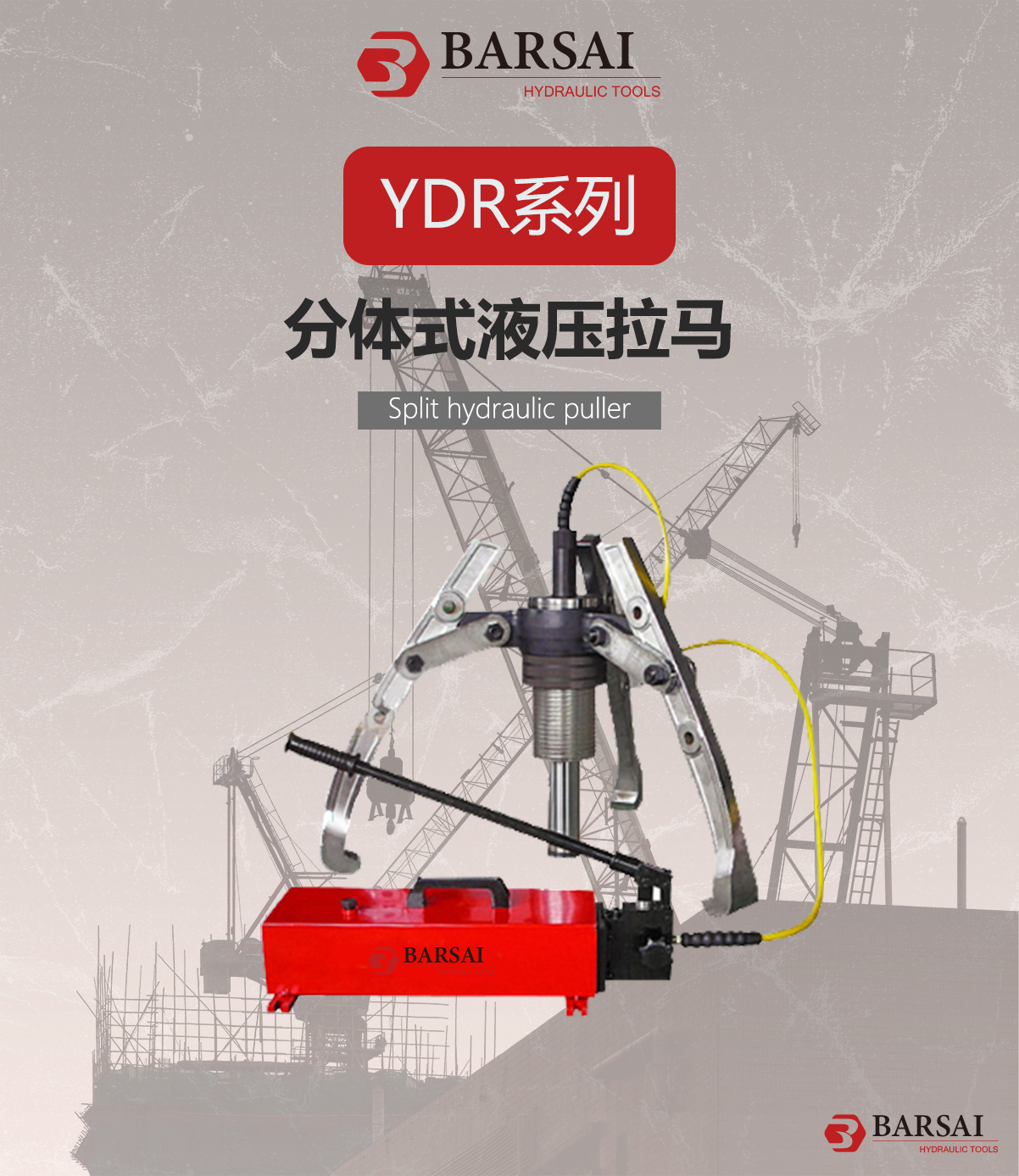 YDR1.png